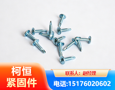 金华华司钻尾丝