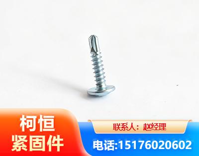 金华华司钻尾丝